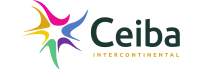 Airline C2 Logo
