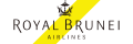 როიალ ბრუნეი logo