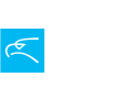 Interjet (ABC Aerolineas)