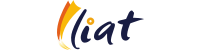 Libyan Airlines