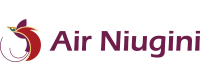 Air Niugini logo