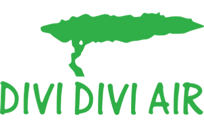 Авиакомпания Divi Divi Air