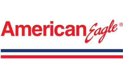 Авиакомпания American Airlines Inc 