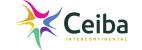 Airline C2 Logo