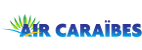 Airline TX Logo
