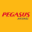 Pegasus Airlines