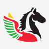 Air-Burkina Air-Burkina