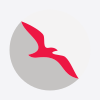 Air-Arabia Air-Arabia