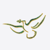 Southern Air Charter Southern Air Charter